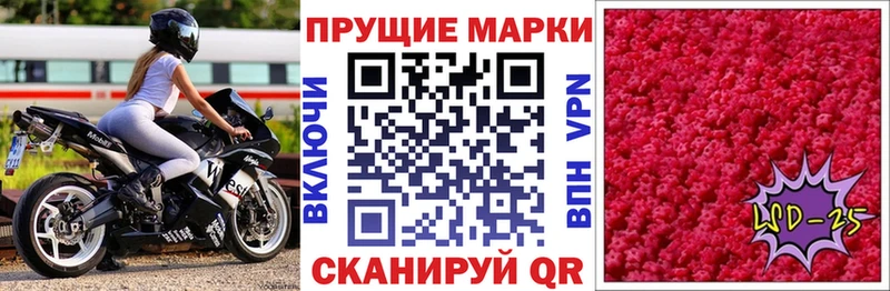 Марки N-bome 1500мкг  Купить закладки  Торопец 