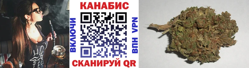 Купить где  Торопец  Конопля сатива 